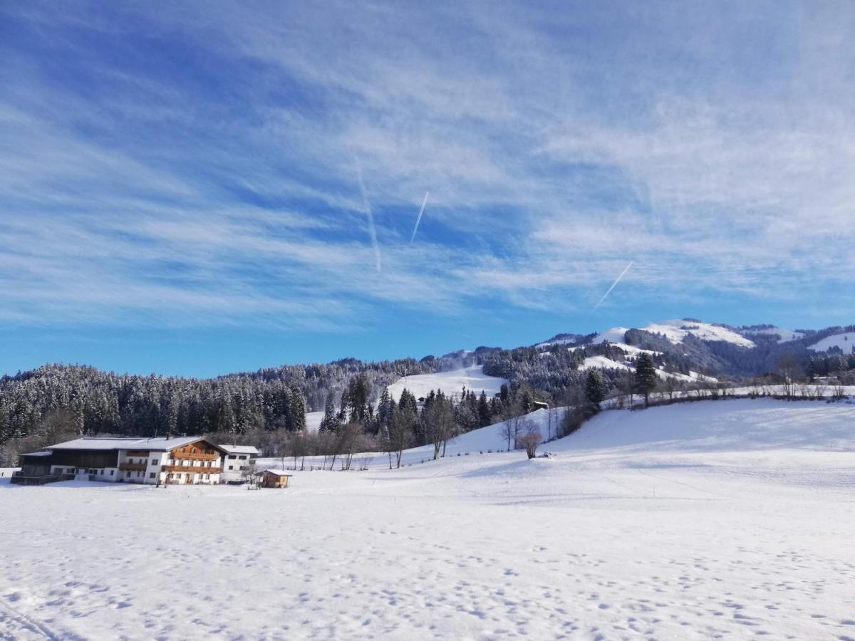 Pension Woetzinghof Kirchberg in Tirol Dış mekan fotoğraf