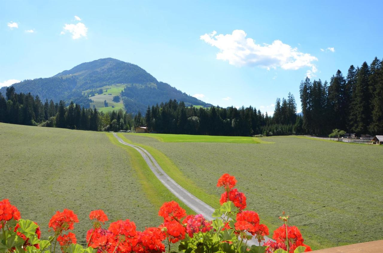 Pension Woetzinghof Kirchberg in Tirol Dış mekan fotoğraf