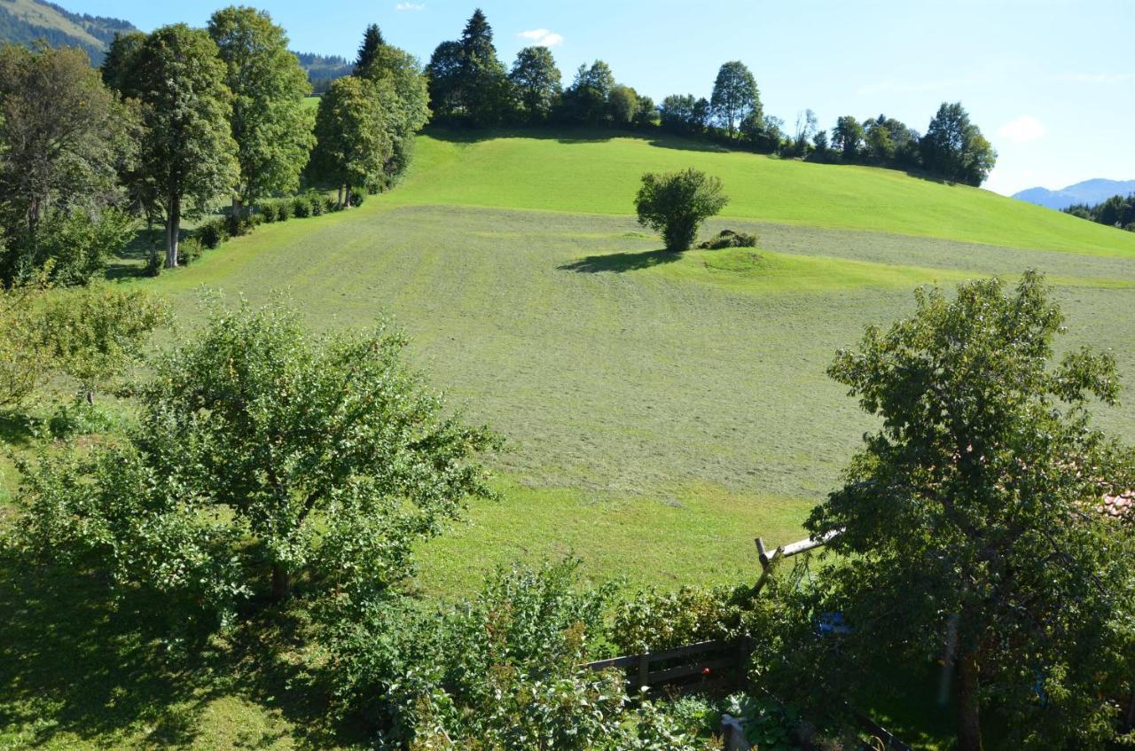 Pension Woetzinghof Kirchberg in Tirol Dış mekan fotoğraf