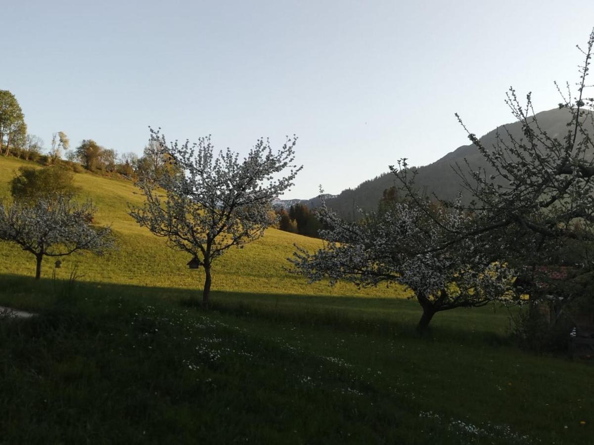 Pension Woetzinghof Kirchberg in Tirol Dış mekan fotoğraf