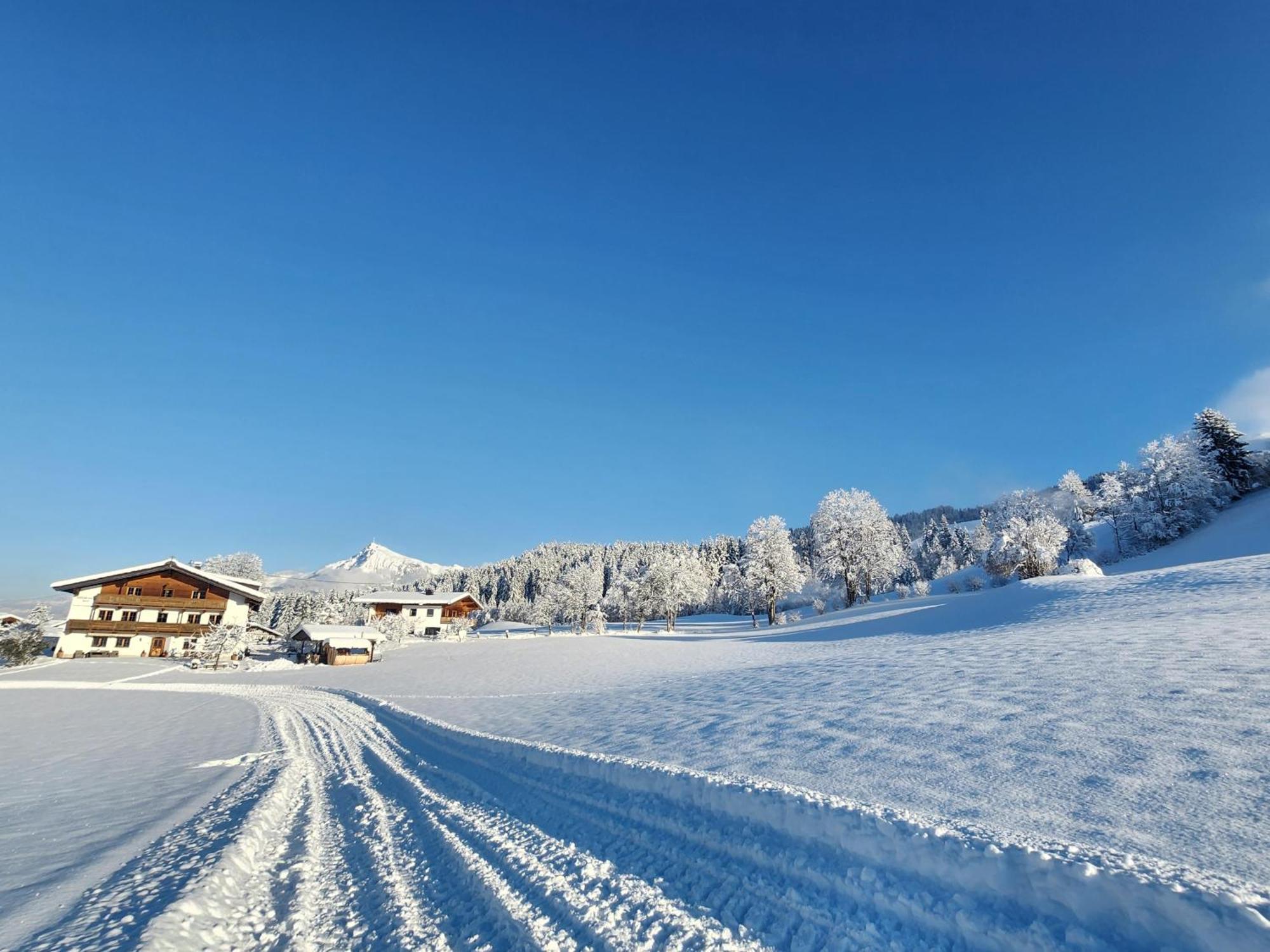 Pension Woetzinghof Kirchberg in Tirol Dış mekan fotoğraf