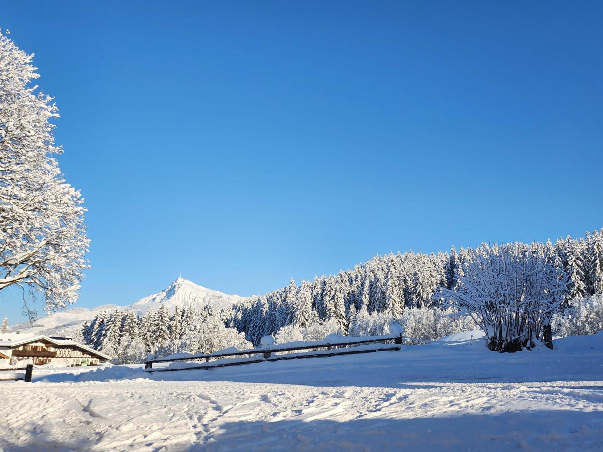 Pension Woetzinghof Kirchberg in Tirol Dış mekan fotoğraf