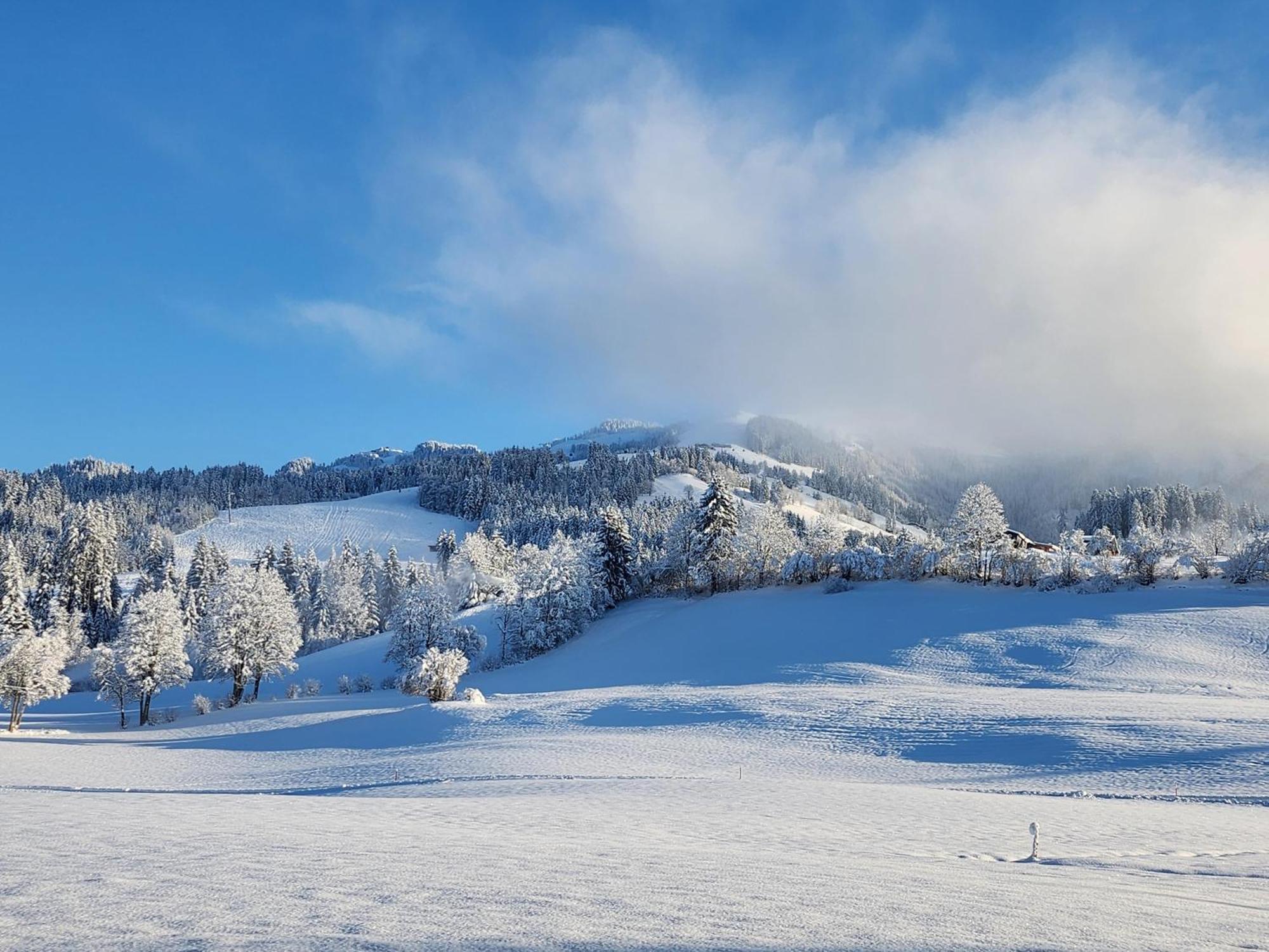 Pension Woetzinghof Kirchberg in Tirol Dış mekan fotoğraf