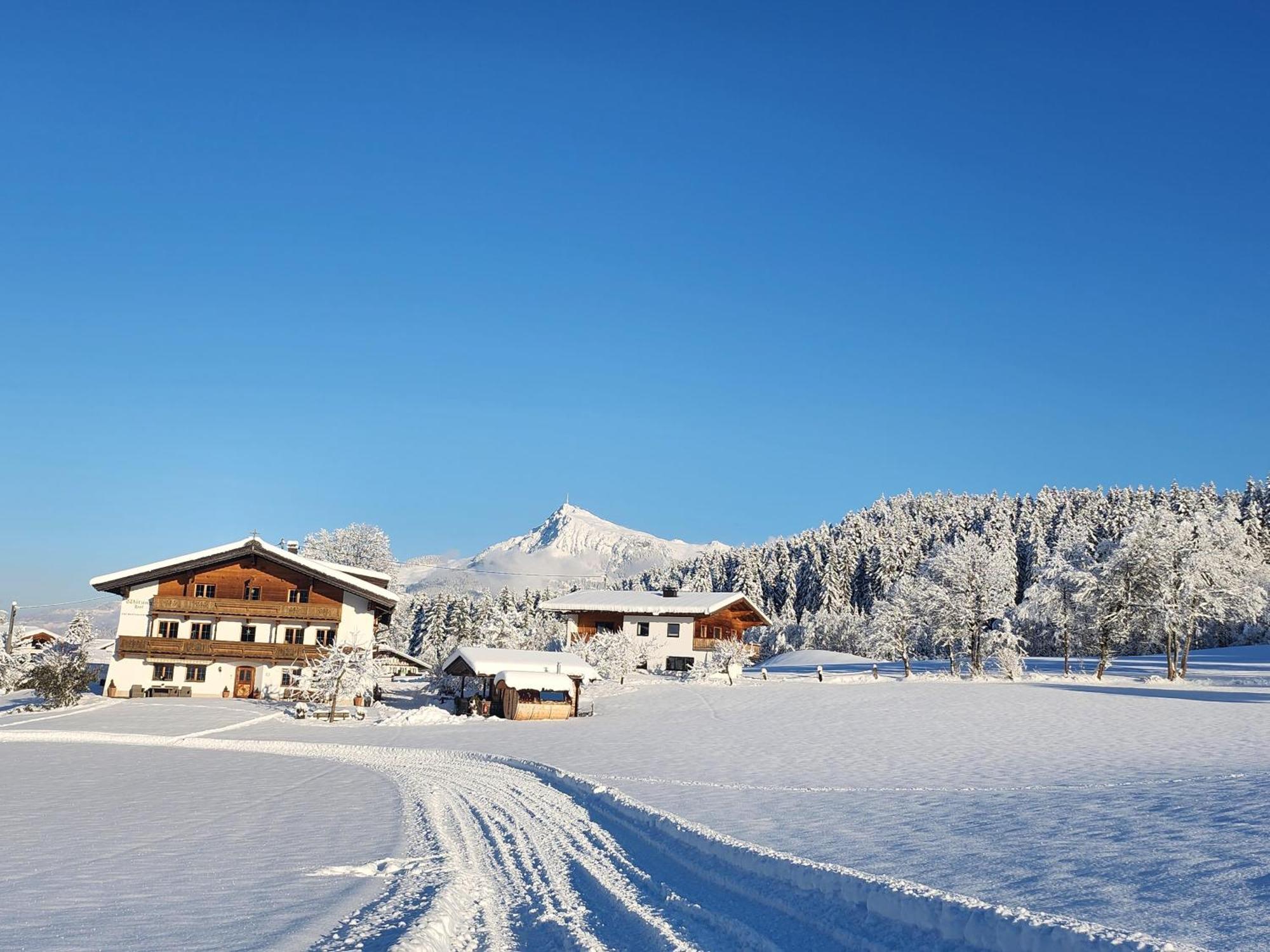 Pension Woetzinghof Kirchberg in Tirol Dış mekan fotoğraf