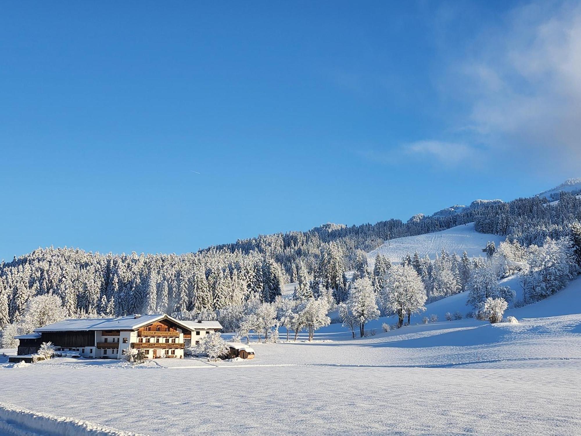 Pension Woetzinghof Kirchberg in Tirol Dış mekan fotoğraf