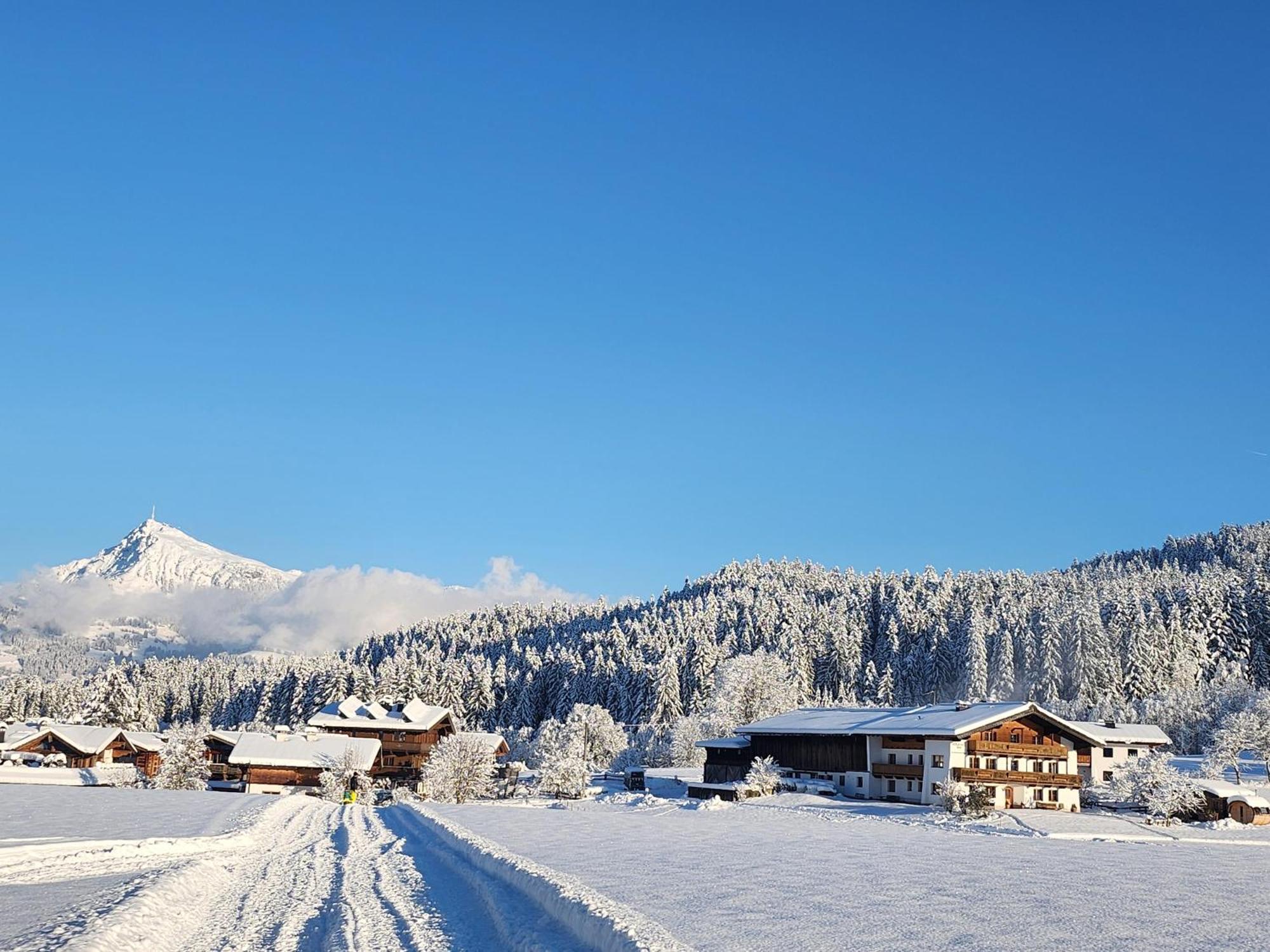 Pension Woetzinghof Kirchberg in Tirol Dış mekan fotoğraf