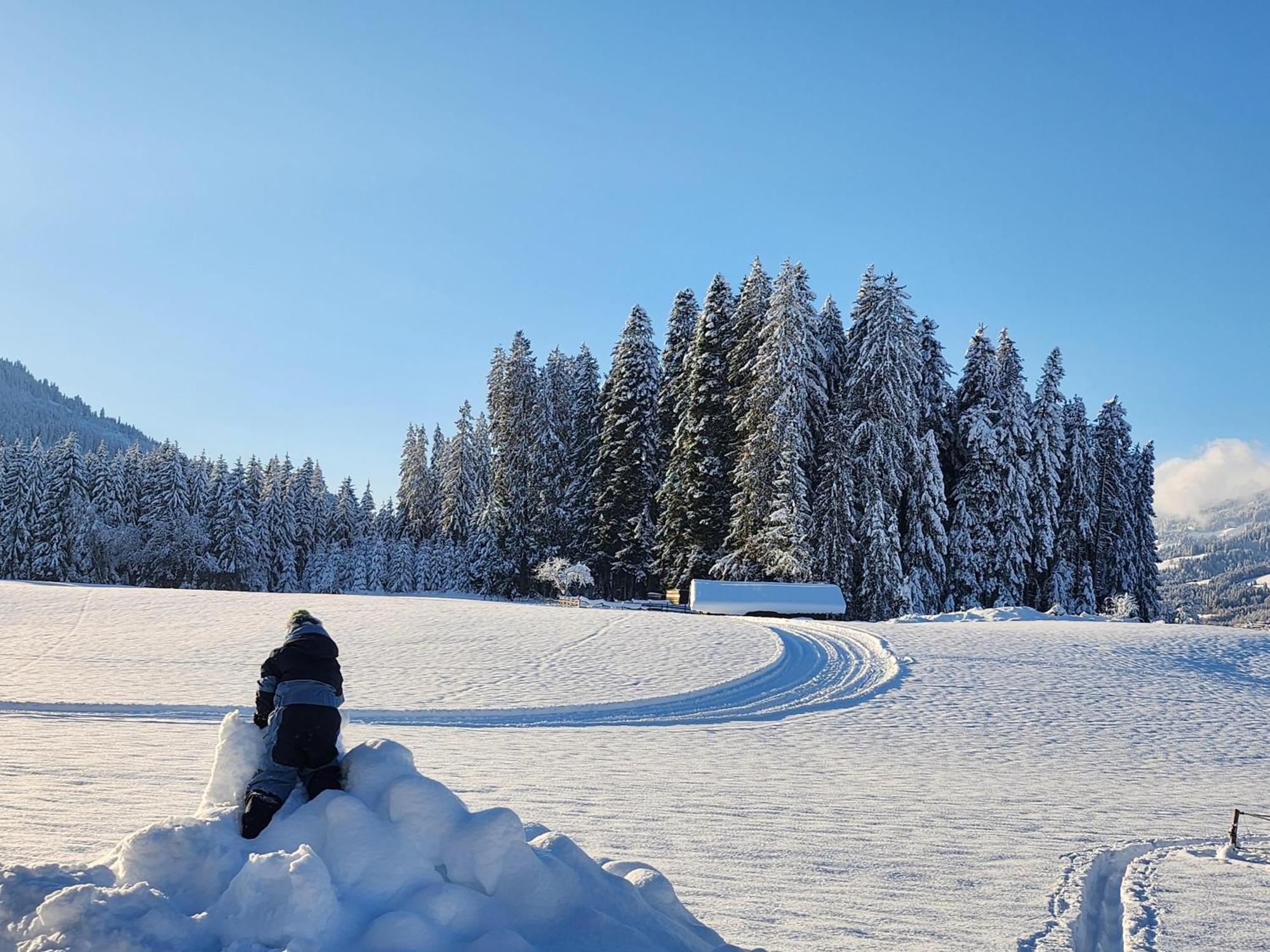 Pension Woetzinghof Kirchberg in Tirol Dış mekan fotoğraf