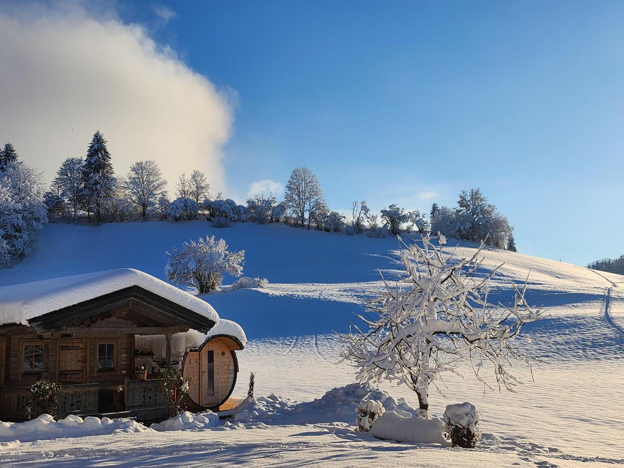 Pension Woetzinghof Kirchberg in Tirol Dış mekan fotoğraf
