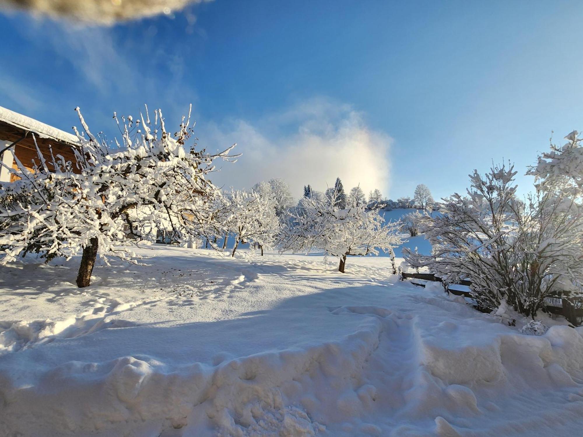 Pension Woetzinghof Kirchberg in Tirol Dış mekan fotoğraf