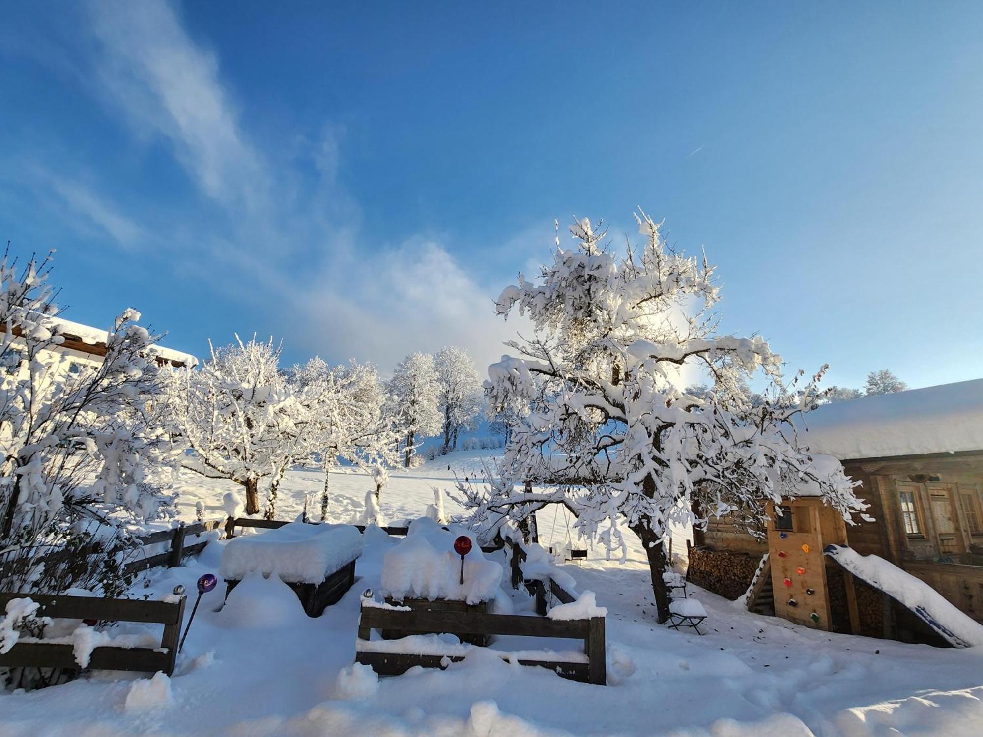 Pension Woetzinghof Kirchberg in Tirol Dış mekan fotoğraf