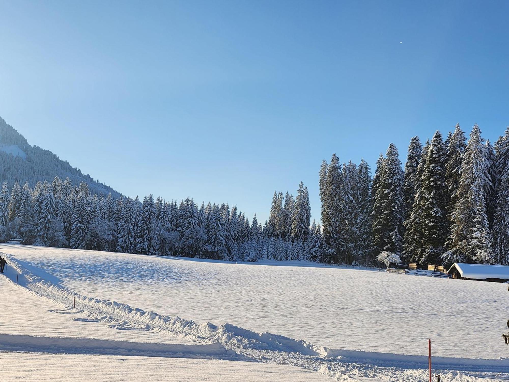 Pension Woetzinghof Kirchberg in Tirol Dış mekan fotoğraf