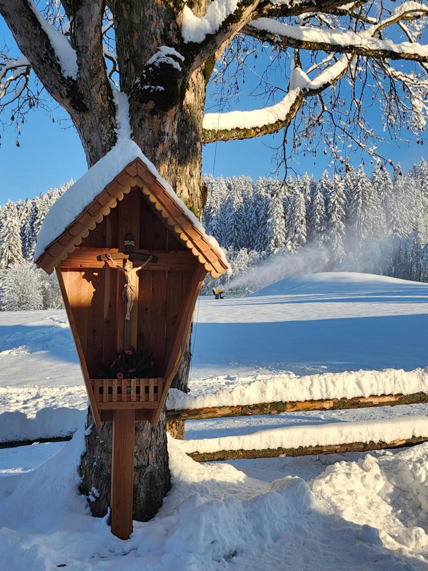 Pension Woetzinghof Kirchberg in Tirol Dış mekan fotoğraf